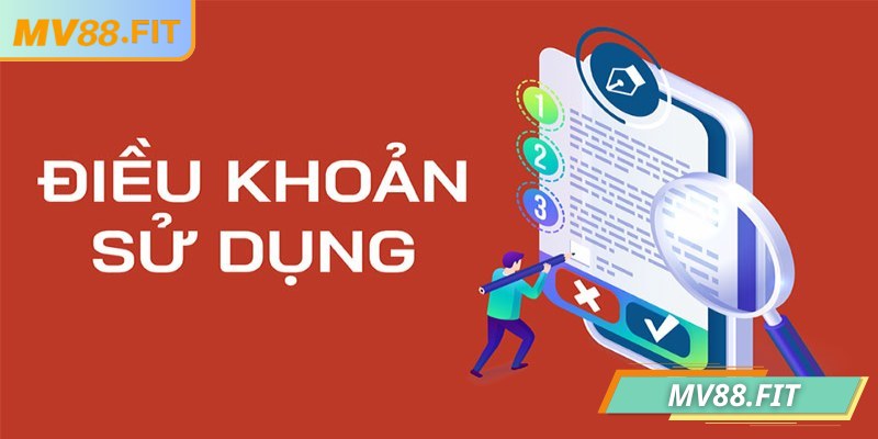 Thông tin về điều khoản sử dụng MV88