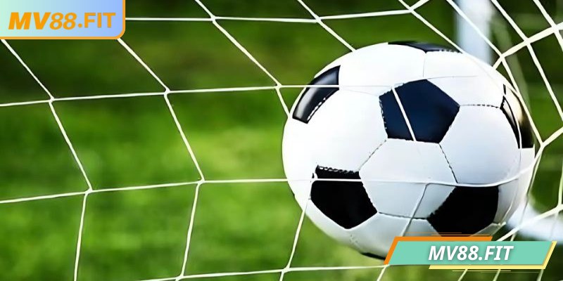 Nắm rõ cách tính điểm để tôi ưu lợi nhuận