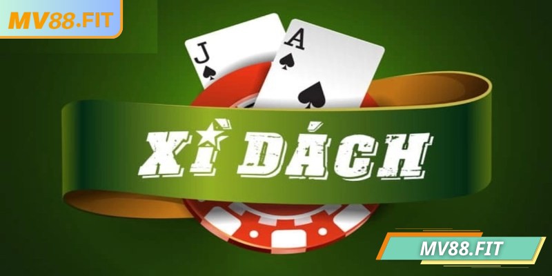 Các yếu tố quan trọng cần nắm vững