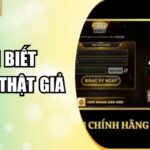 Nhận Biết Hitclub Thật Giả – Cảnh Báo Từ MV88 Chính Xác Nhất